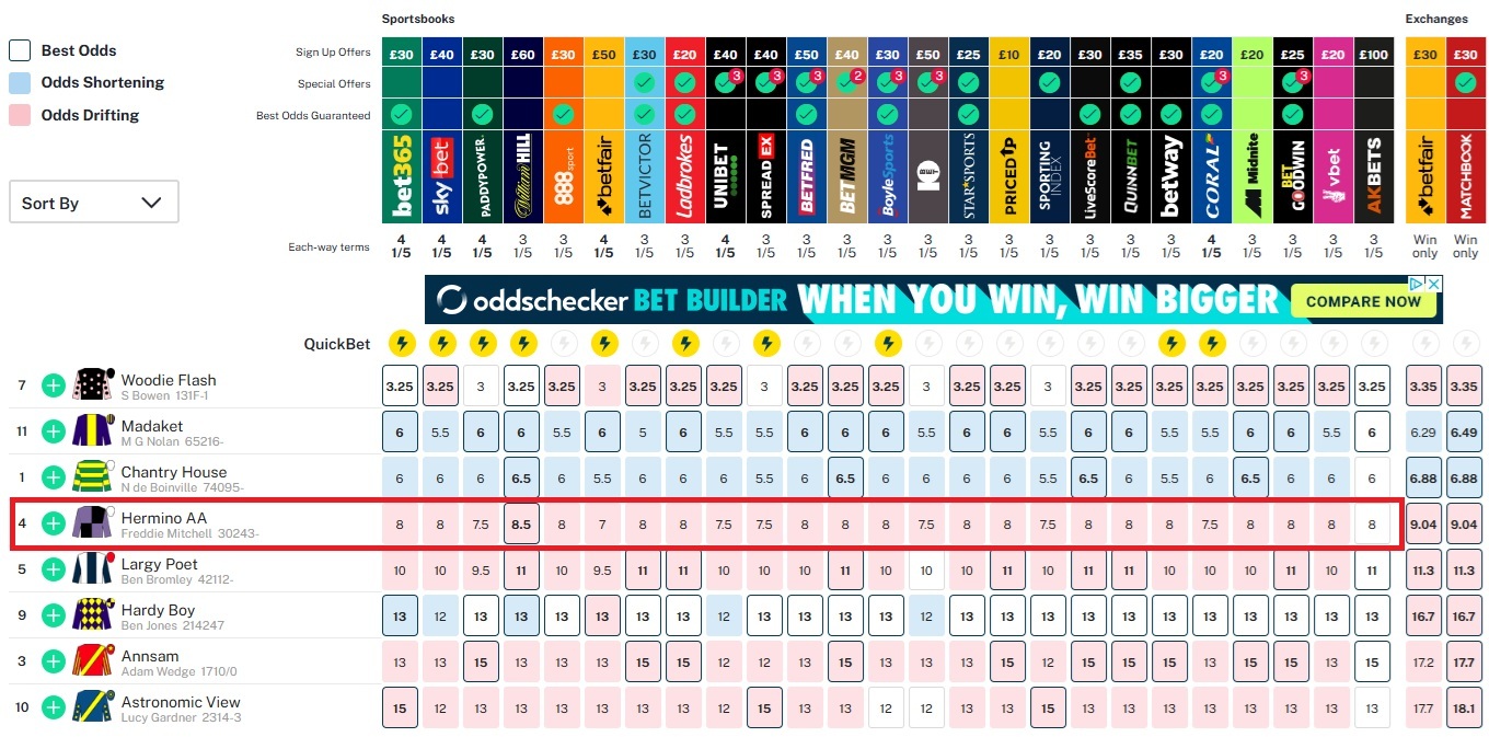 Odds checker odds display of the 3.40pm newbury race with Hermino AA highlighted